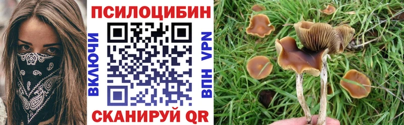 darknet телеграм  Бежецк  Псилоцибиновые грибы Cubensis 