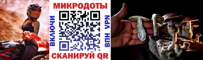 Псилоцибиновые грибы мухоморы Бежецк